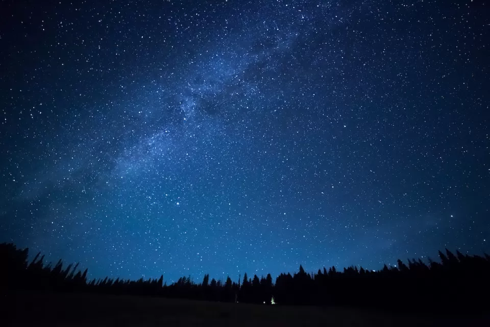 View of dark night sky with visible Milky Way over dark forest.